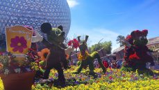 experience weekends at waldorf in april and may