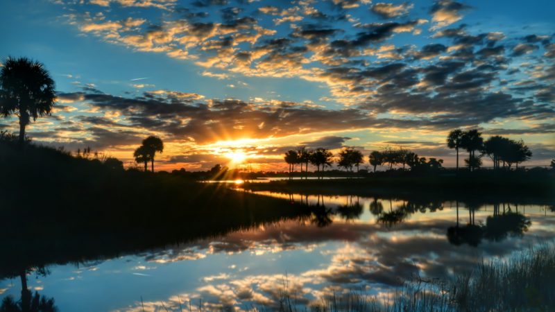 florida landscape