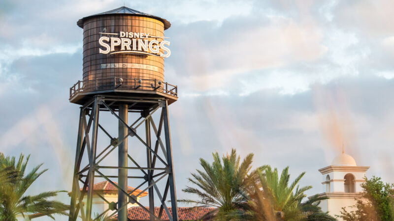 Disney Springs®