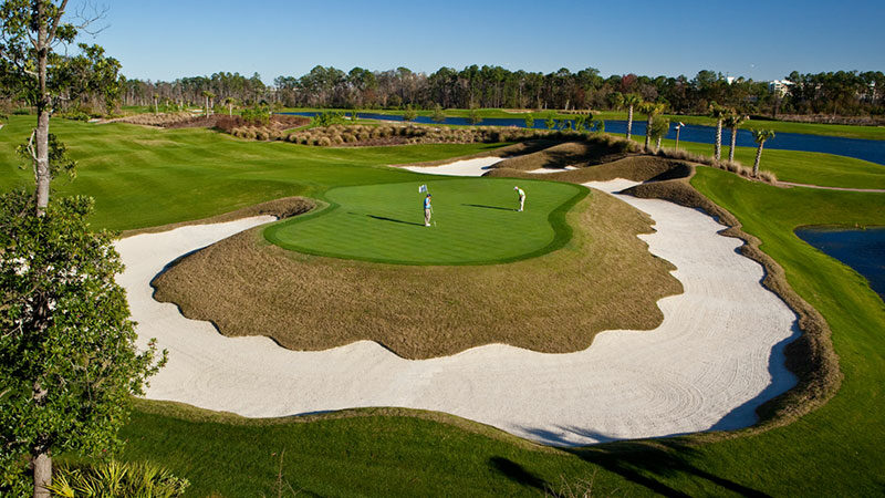 Men playing golf