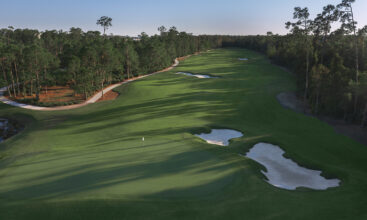 themed holiday suite